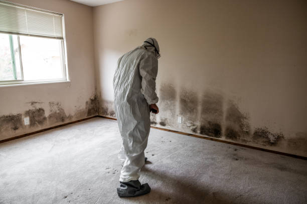 Best Residential Mold Inspection & Testing  in Simpsonville, SC